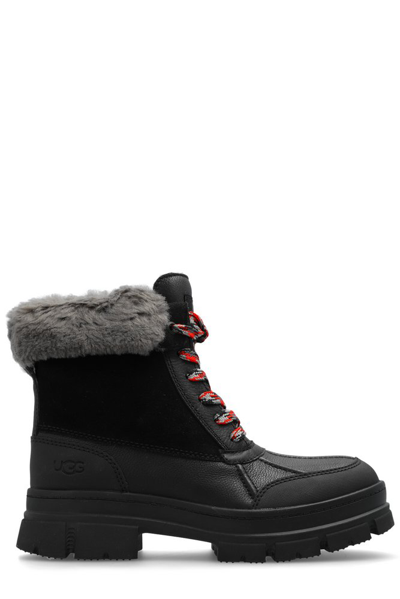 Shop Ugg Ashton Addie Round Toe Ankle Boots In Black
