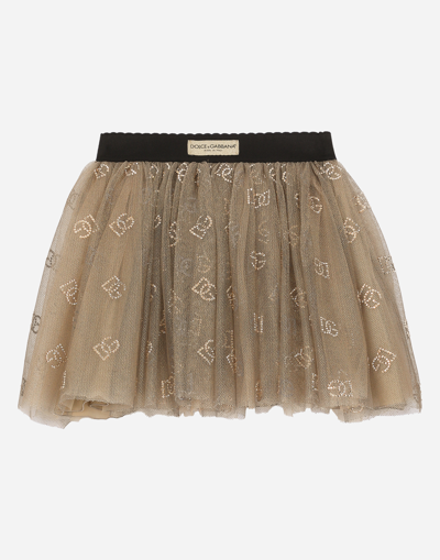 Dolce & Gabbana Tulle Skirt With Dg Logo In Gold