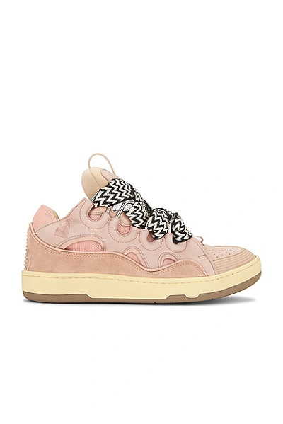 Shop Lanvin Curb Sneaker In Pale Pink