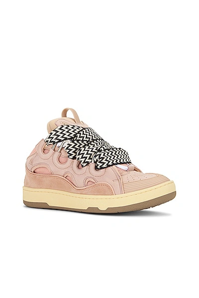 Shop Lanvin Curb Sneaker In Pale Pink