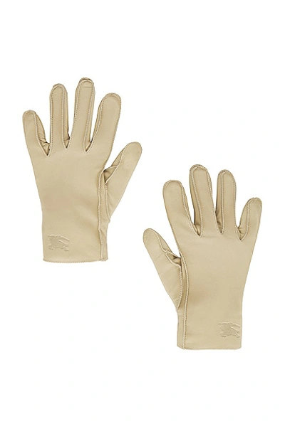 Shop Burberry Plain Cold Weather Leather Gloves In Hunter