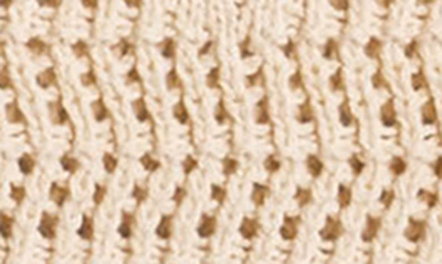 Roxy Malibu Crush Pointelle Stitch Crop Tank In Tapioca