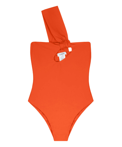 Shop Cheri' Swimsuit In Orange