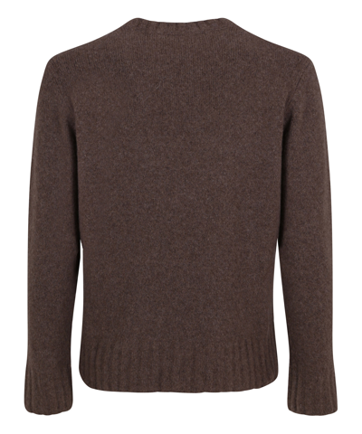 Shop Cruciani Sweater In Brown