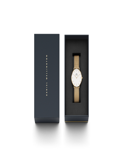 Shop Daniel Wellington Women's Petite Evergold Gold-tone Stainless Steel Watch 32mm