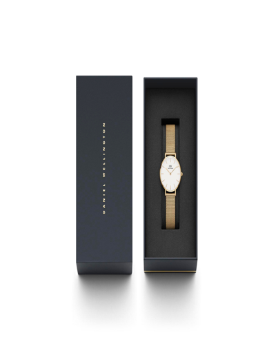 Daniel Wellington Petite Evergold Mesh Strap Watch, 28mm In Gold-tone