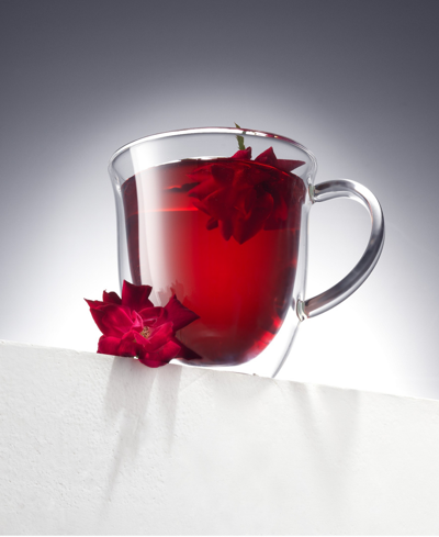 Joyjolt Glass Double Wall Mug Collection, Set Of 4 In Clear