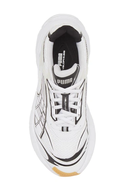 Shop Puma Velophasis Technisch Sneaker In  White- Black