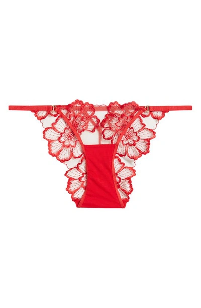 Shop Bluebella Catalina Embroidered Mesh Briefs In Tomato Red/ Sheer