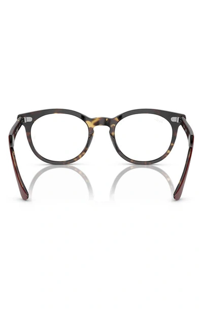 Shop Ray Ban Eagle Eye 51mm Square Optical Glasses In Bordeaux
