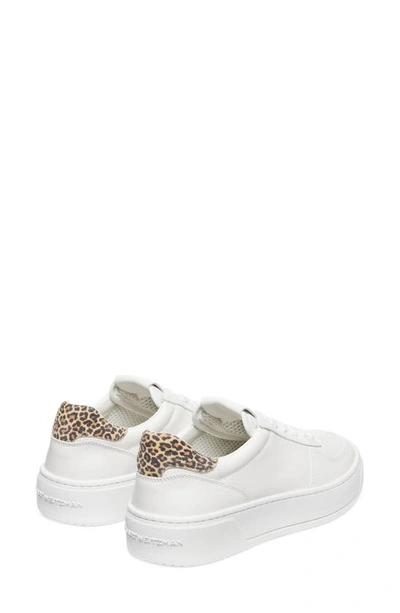 Stuart Weitzman Courtside Sneaker In White/ Leopard Leather