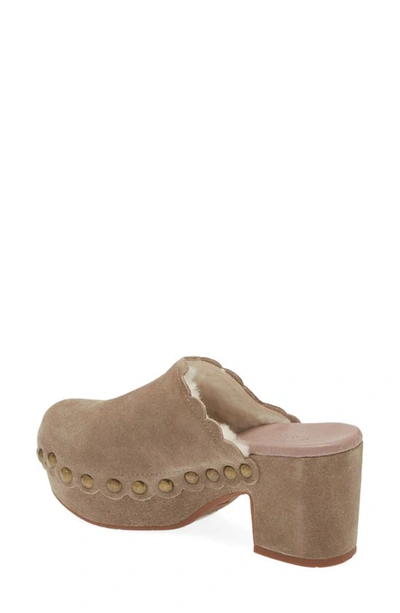 Chocolat Blu Gareth Platform Mule In Taupe Suede-shearling