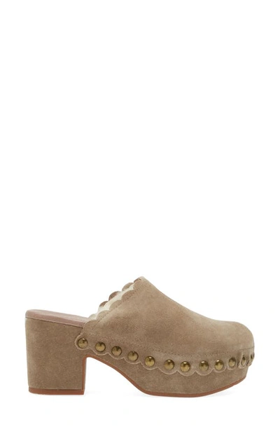 Chocolat Blu Gareth Platform Mule In Taupe Suede-shearling