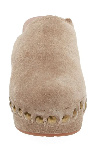 Chocolat Blu Gareth Platform Mule In Taupe Suede-shearling