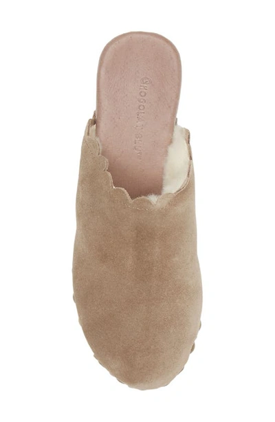 Chocolat Blu Gareth Platform Mule In Taupe Suede-shearling