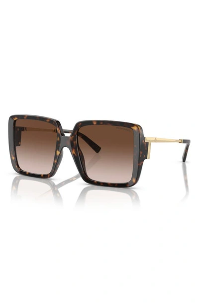 Tiffany & Co 55mm Gradient Square Sunglasses In Havana
