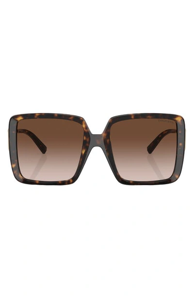 Tiffany & Co 55mm Gradient Square Sunglasses In Havana
