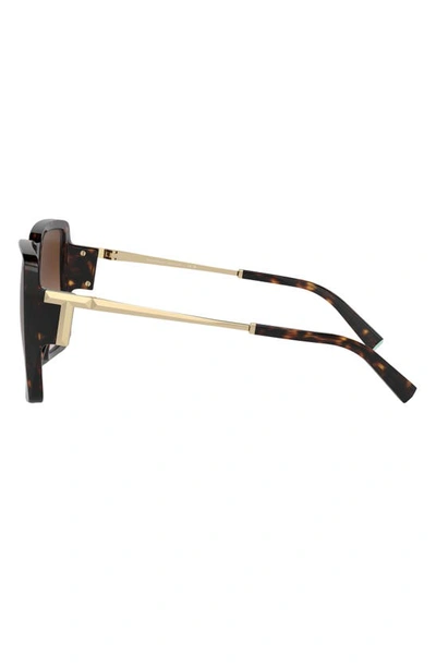 Tiffany & Co 55mm Gradient Square Sunglasses In Havana