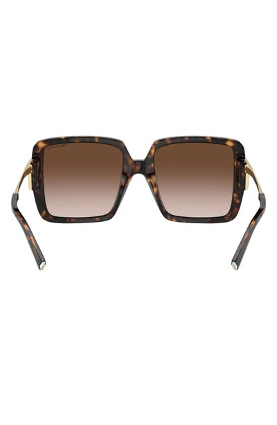 Tiffany & Co 55mm Gradient Square Sunglasses In Havana