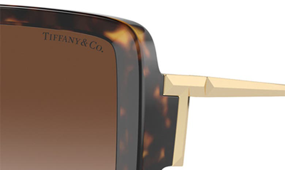 Tiffany & Co 55mm Gradient Square Sunglasses In Havana
