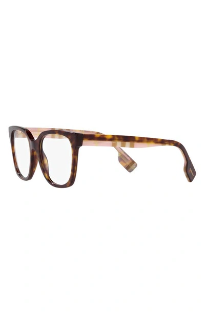 Shop Burberry Evelyn 50mm Square Optical Glasses In Dark Havana