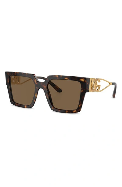 Shop Dolce & Gabbana 53mm Square Sunglasses In Havana