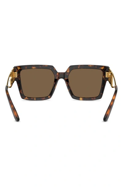 Shop Dolce & Gabbana 53mm Square Sunglasses In Havana