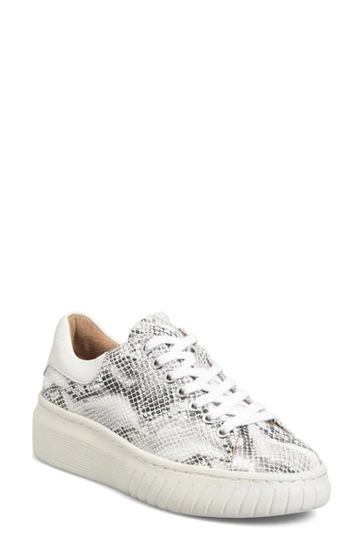 Shop Söfft Parkyn Sneaker In Natural/ White