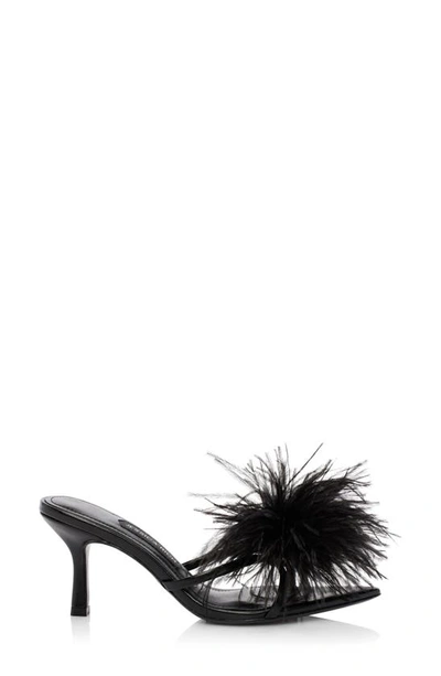 Shop Jessica Rich Malina Feather Pointed Toe Slide Sandal In Noir