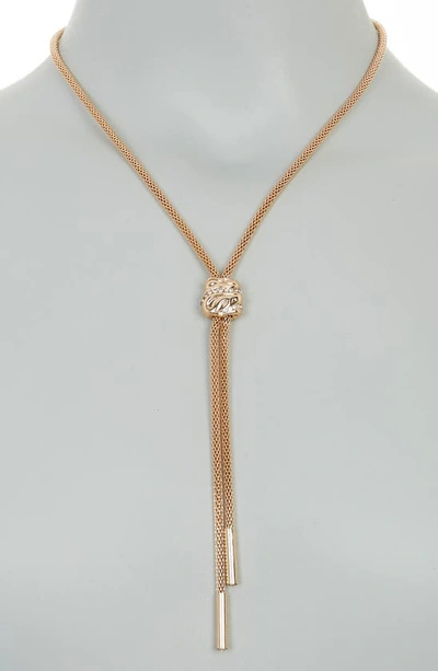 Shop Nordstrom Rack Crystal Slider Mesh Lariat Necklace In Clear- Gold