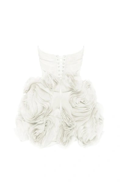Milla Appliquéd Organza White Mini Dress In White