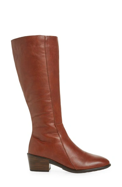 Shop Naot Gift Knee High Boot In Chestnut Leather