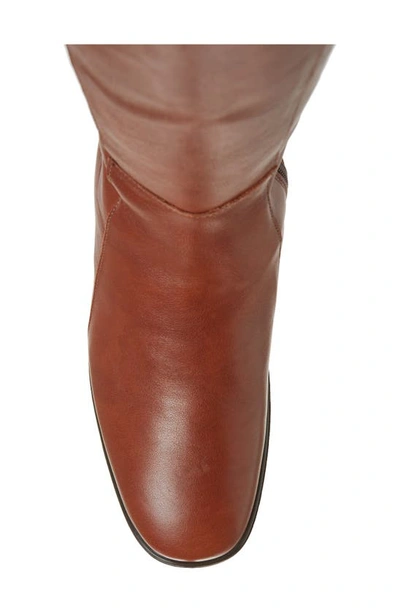Shop Naot Gift Knee High Boot In Chestnut Leather
