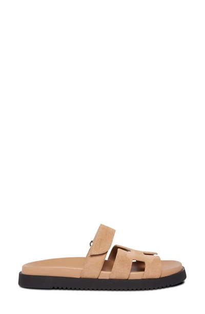 Shop Steve Madden Mayven Flatform Slide Sandal In Taupe Suede