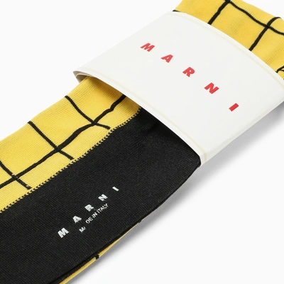 Shop Marni Yellow/black Check Pattern Long Socks