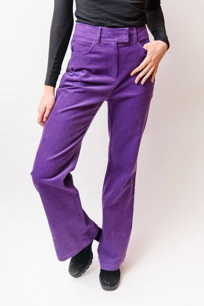 Shop Suncoo June Corduroy Pant In Purple