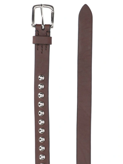 J & M Davidson Studded Belt In Brown