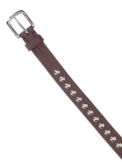 J & M Davidson Studded Belt In Brown
