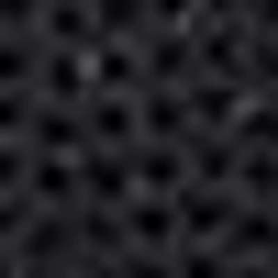 Bebe Mesh Inset Maxi Disco Dot Dress In Black