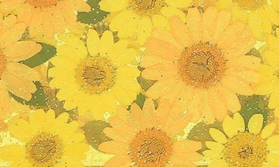 Shop Kurt Geiger Flowers Acrylic Box Clutch In Orange