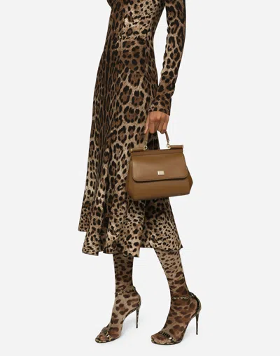 Dolce & Gabbana Medium Sicily Handbag In ブラウン