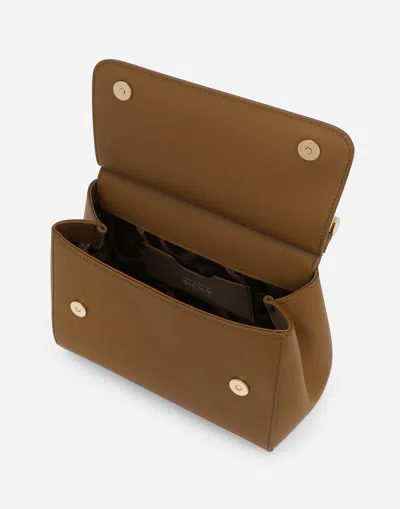 Dolce & Gabbana Medium Sicily Handbag In ブラウン