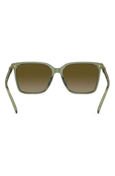 Michael Kors Canberra 56mm Square Sunglasses In Green Havana