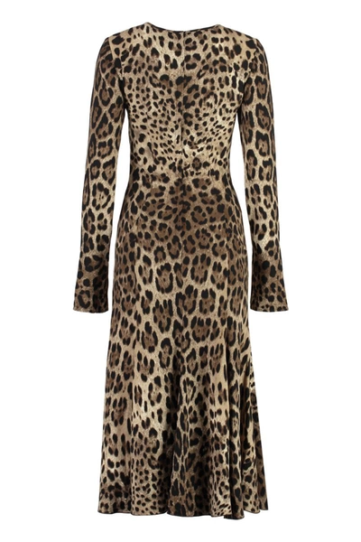 Shop Dolce & Gabbana Printed Cady Dress In Animalier