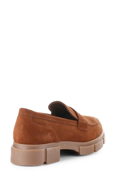 Bos. & Co. Lawn Chunky Penny Loafer In Rust Suede