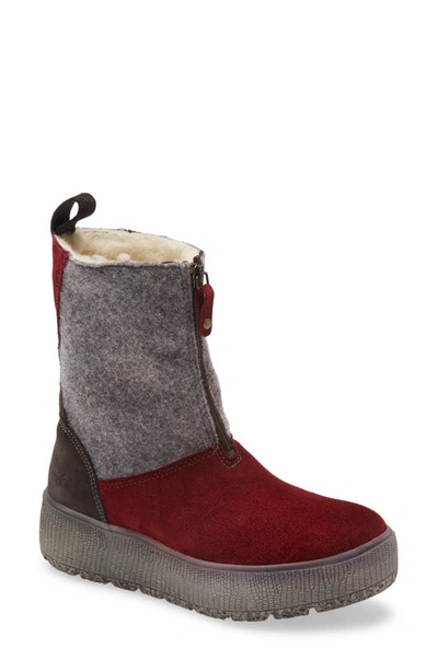 Shop Bos. & Co. Bos. & Co Ignite Waterproof Winter Boot In Sangria Suede