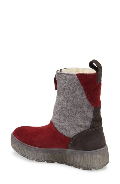 Shop Bos. & Co. Bos. & Co Ignite Waterproof Winter Boot In Sangria Suede