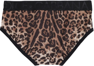 Shop Dolce & Gabbana Brando Cotton Briefs In Animalier