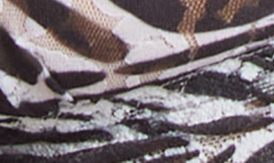 Shop Hanky Panky Padded Lace Bralette In A To Zebra