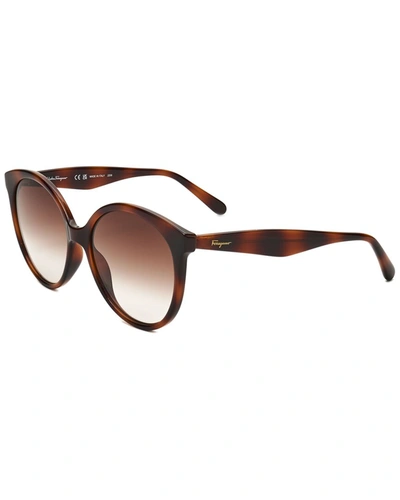 Shop Ferragamo Women's Sf1071s 58mm Sunglasses In Brown